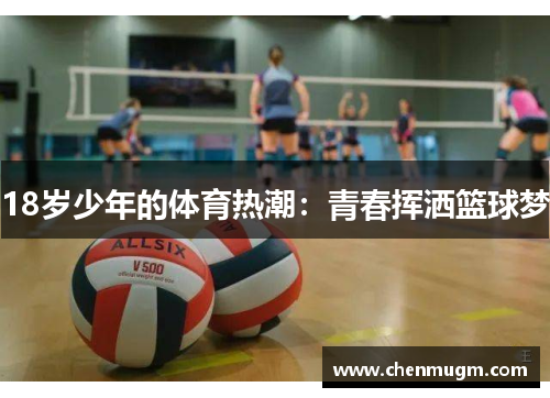 18岁少年的体育热潮：青春挥洒篮球梦